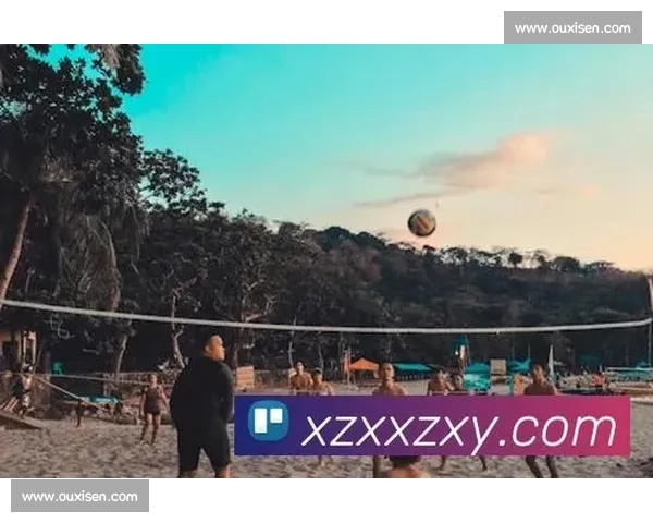 打造一站式体育综合APP体验覆盖赛事直播数据分析互动社区服务生态